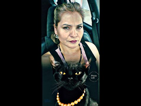 FELINOS GATOIDES ¿QUIENES SON?