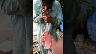 Download lagu lungs testing |animal lungs test |how lungs work #viral #lungs #health#goat #lungs #goatlungsinsight mp3