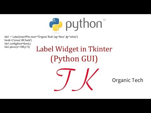 4 Label Widget In Tkinter Python Gui