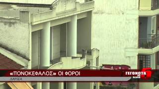 «ΠΟΝΟΚΕΦΑΛΟΣ» ΟΙ ΦΟΡΟΙ 17 08 2014