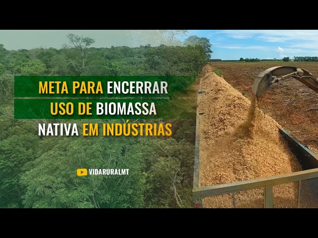 ADIADO META PARA ENCERRAR USO DE BIOMASSA NATIVA EM INDÚSTRIAS