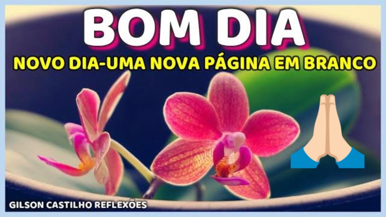 Mensagem de Bom Dia - Um Novo Dia Uma Nova Página