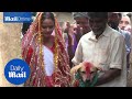Indian Girl Marries Dog In Bizarre Wedding Ceremony Daily Mail