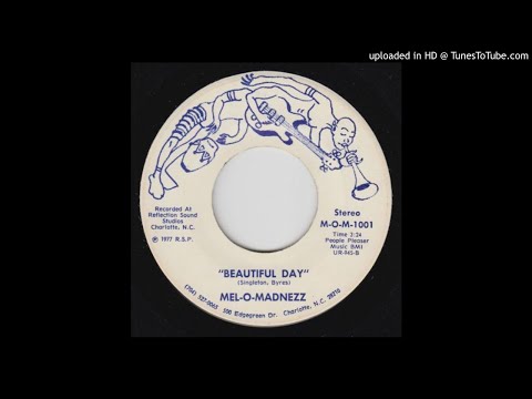LYSERGICFUNK : Beautiful Day - Mel-O-Madnezz