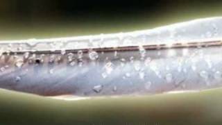 Laura Närhi (2010): Hiljaisia päiviä +Lyrics