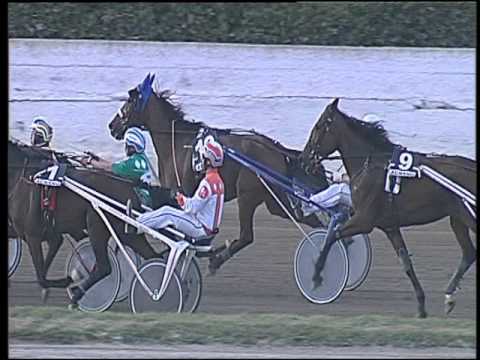 Trotto 17/04/2016 - 7° Corsa