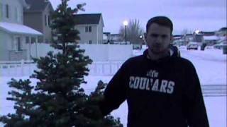 Emergency Preparedness: Christmas Tree Safety