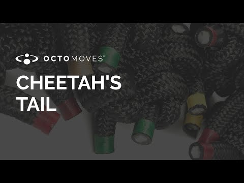 CHEETAH'S TAIL | LEVEL 3 | OCTOMOVES ROPE TRAINING