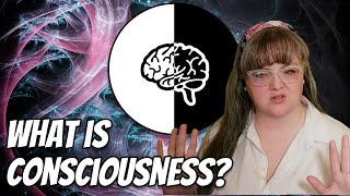 What is Consciousness, and how do scientists study it?