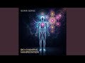 Manifest Your Soulmate & Healing Love - 639Hz Subconscious Reprogramming