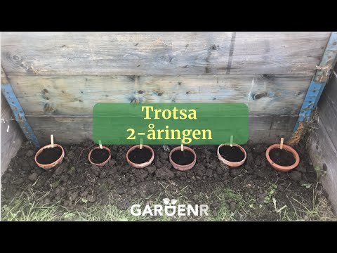 Trotsa 2-åringen - Trädgårdshacks med GardenR