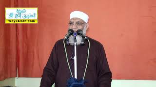 صورة يوم الفصل | الشيخ شوقي عبد الصادق