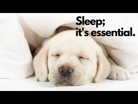 Tip #7 - A surprising benefit of Melatonin