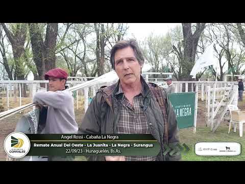22-09-23 - Angel Rossi - Cabaña La Negra - Remate Anual del Oeste -  Huanguelén, Bs As