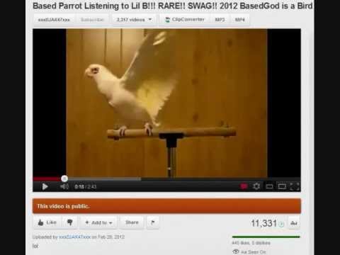 RIP BasedBird aka Based Parrot - Lil B Is That Yo Bop - DJ AK47