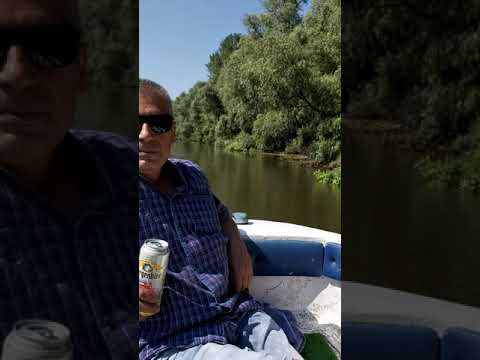 Excursie pe canalele Deltei Dunării Chilia Veche.