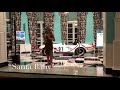 Brooklyn Nelson Holiday Performance at The Greenbrier Resort