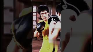 Download lagu ⚡Bruce Lee teaching his student with the mitts #brucelee  #sora #kungfu  #wingchun mp3