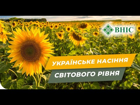Украинские семена с именем. Кто такие ВНИС?