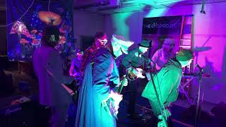 WWLTV - Live!: Shaun Gambowl Walsh &amp; The Plagiarists (Live @ Spookadelic Grave Rave - 27/10/2023)
