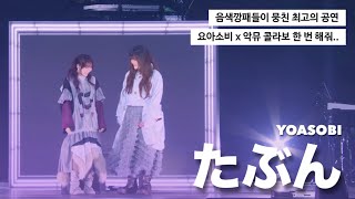 Download lagu 𝐋𝐢𝐯𝐞 | 요아소비 x 악뮤 레전드 조합 : 요아소비 - 아마도 (YOASOBI - たぶん) [가사/자막/해석]  mp3