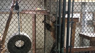 They&#39;ll Never Take Me