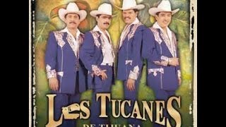 Los Tucanes De Tijuana - Me Gusta Vivir De Noche