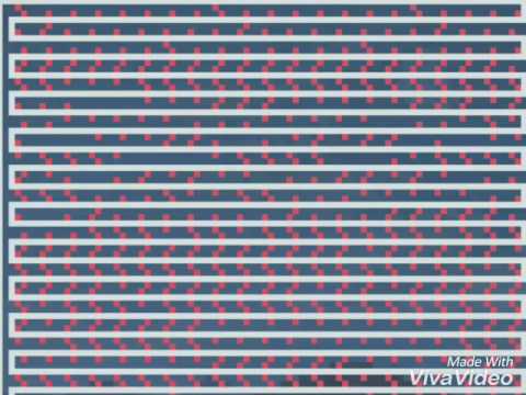 Buddha X Local dee- The collar