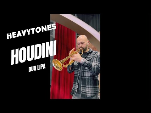 "Houdini" -  @dualipa  (Funk Cover by heavytones)