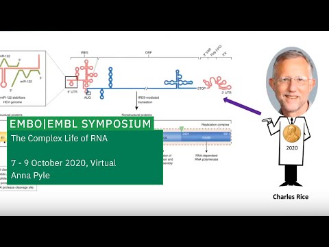 Keynote Lecture: Diversifying the function of a limited RNA genome