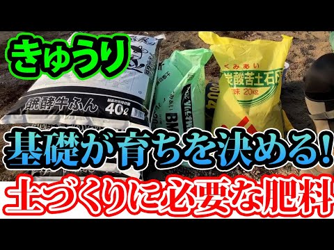イラクサ肥料の作り方：無害な天然肥料から恩恵を受けるレシピは何ですか？  庭園