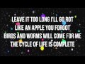 MARINA AND THE DIAMONDS | "FROOT" LYRICS