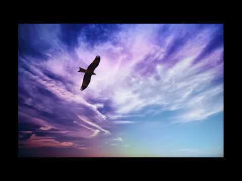 Reflekt feat  Delline Bass   Need To Feel Loved