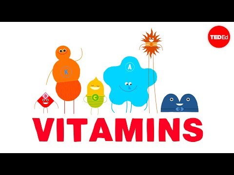 How do vitamins work? - Ginnie Trinh Nguyen