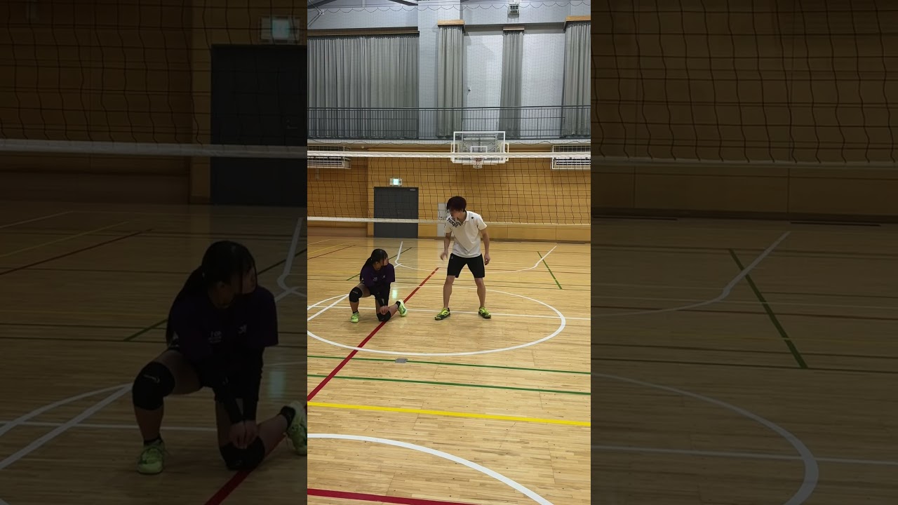 レシーブ基礎‼️ #volleyball#volleyballplayer#haikyu#haikyuu#shorts