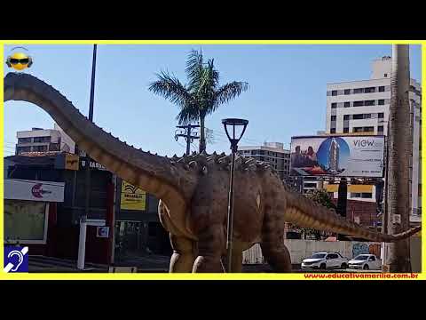 Tv Educativa Giro Pela Cidade Avenida São Luiz - Marília S.P.
