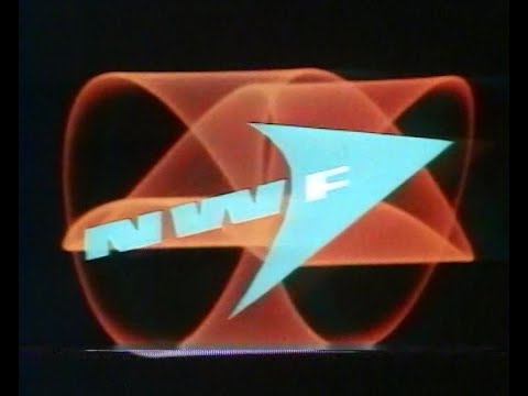 ARD (NDR RB SFB) 29.03.1983 - NWF - Norddeutsches Werbefernsehen Werbung, kompletter Werbeblock