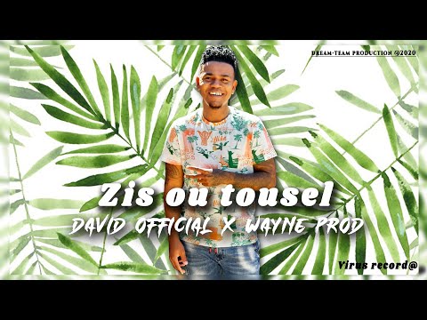 David Official-ZIS OU TOUSEL x Wayne Production..(audio)