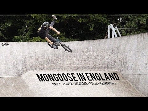 Mongoose in England - Peraza, Casey, Peake, Illingworth, Ducarroz