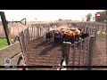 Home 21 Video thumbnail