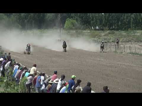 MUKEÑO  "Club Hipico Cabo Alarcón"    Picun Leufu    20-11-2022