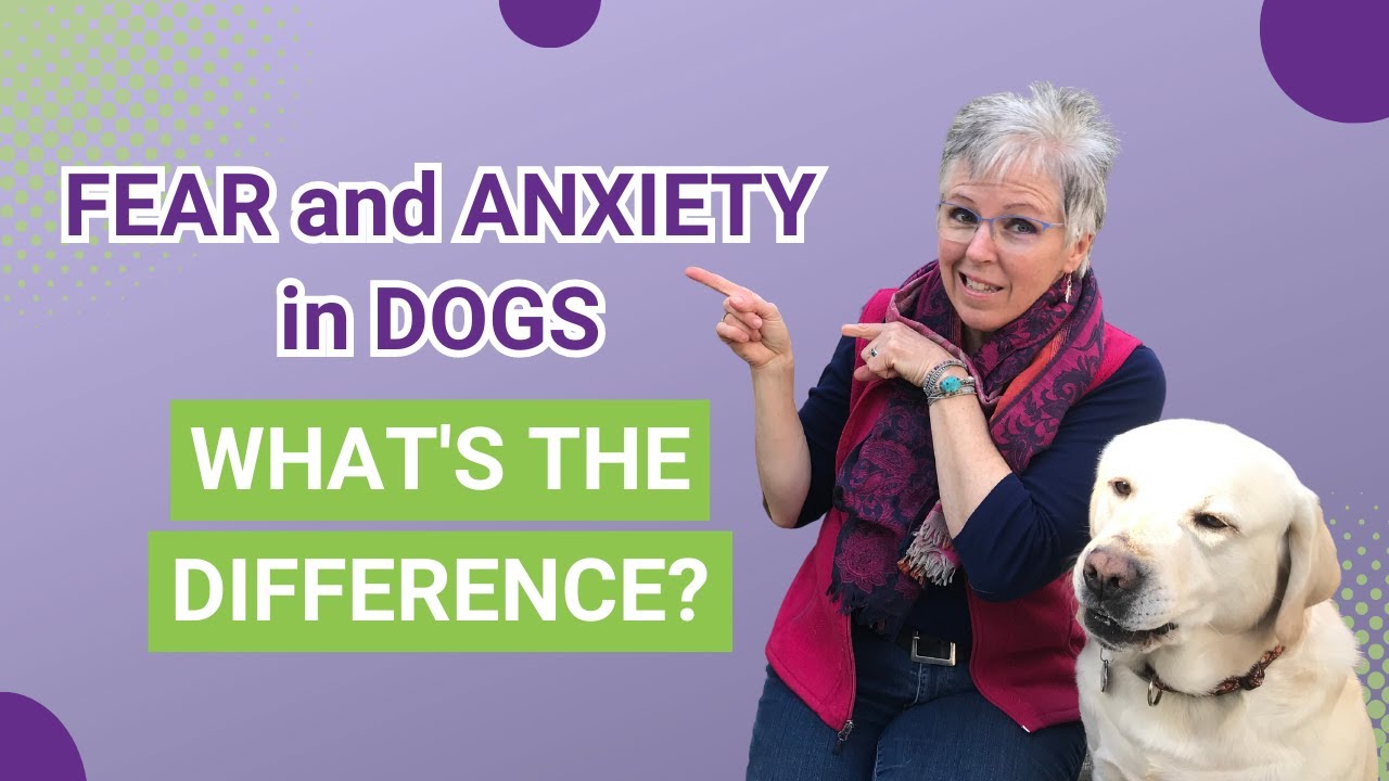 YouTube video preview