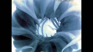 Morphine - The Night [alternate version]