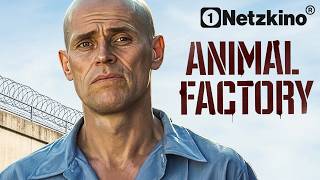 WILLEM DAFOE in ANIMAL FACTORY – RACHE EINES VERURTEILTEN (Ganzer Film, Filme Deutsch komplett 2026)