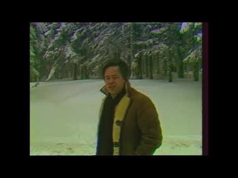 Alfi Nipič - Stara domačija (1980)