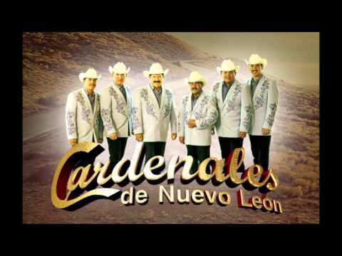 Misa de Cuerpo Presente   Cardenales