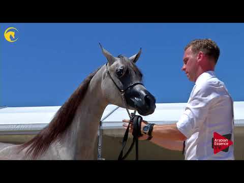 Menton 2017 - Class 1A