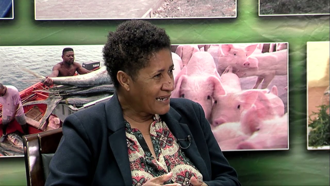 Agriculture on the Move (October 23, 2024)