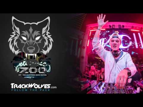 Avicii - Live @ Electric Zoo 2013 (NYC) - 30.08.2013