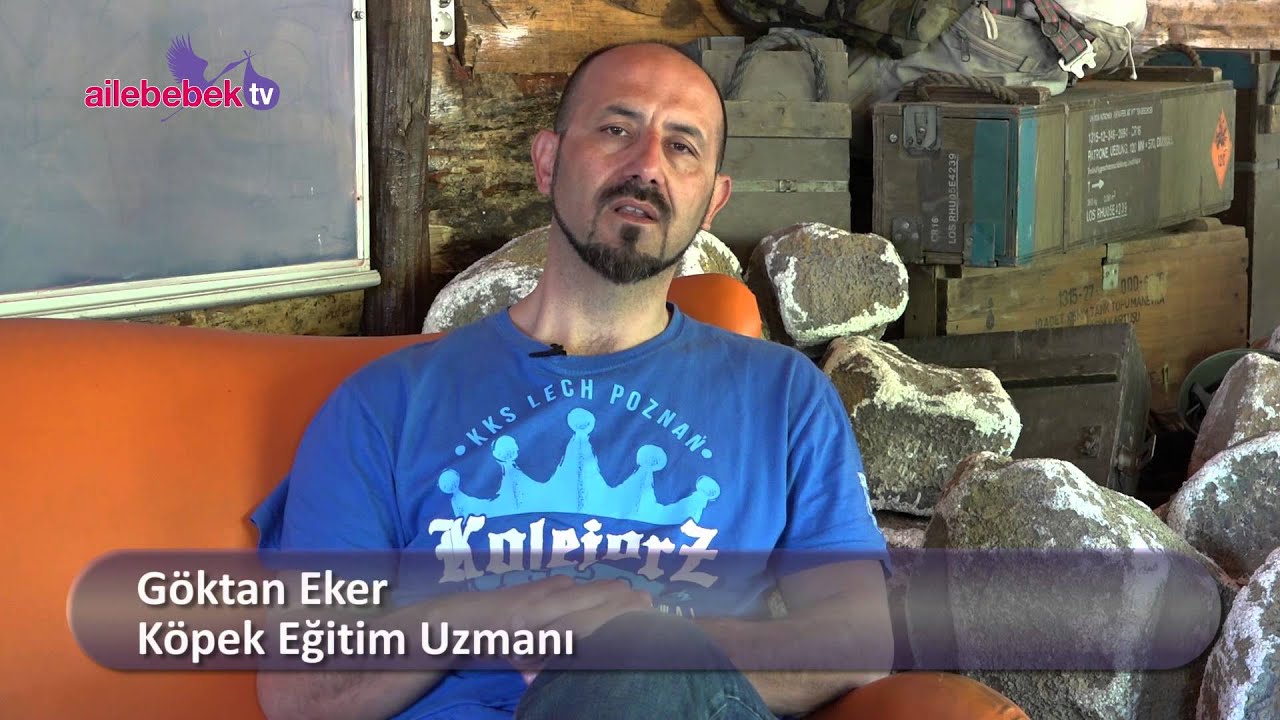 Köpek korkusu yenilir mi?